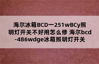 海尔冰箱BCD一251wBCy照明灯开关不好用怎么修 海尔bcd-486wdge冰箱照明灯开关